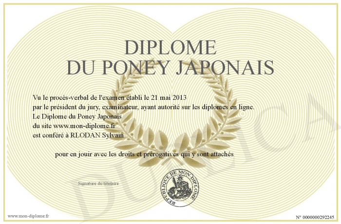 diplome universitaire japonais